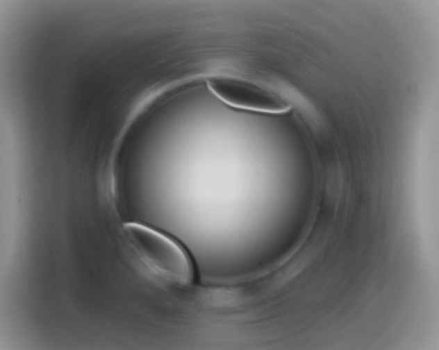 X0000113861280200910011014