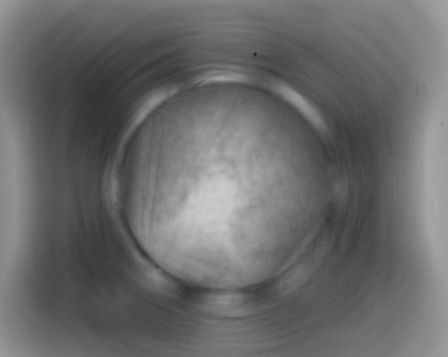 X0000113861282200910011014