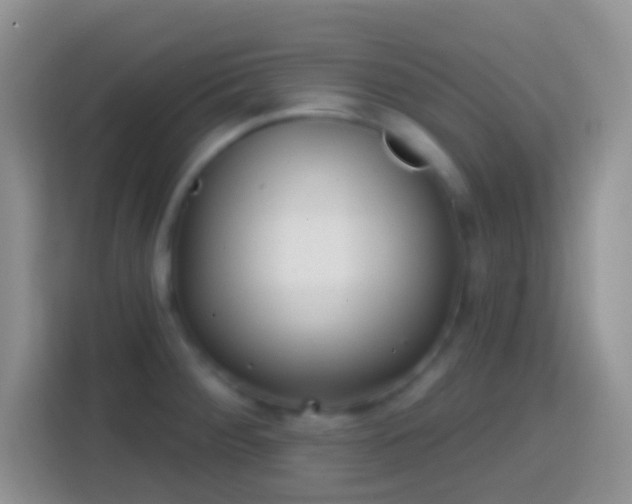 X0000113861284200910011014