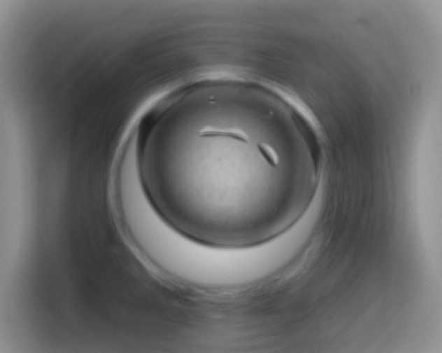 X0000113861285200910011014