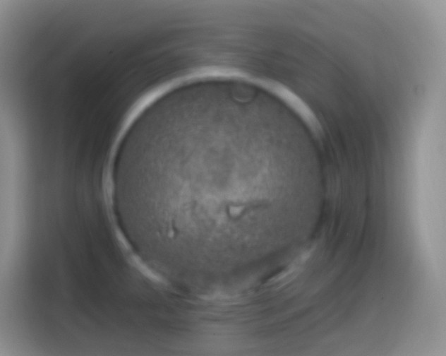 X0000113861287200910011014