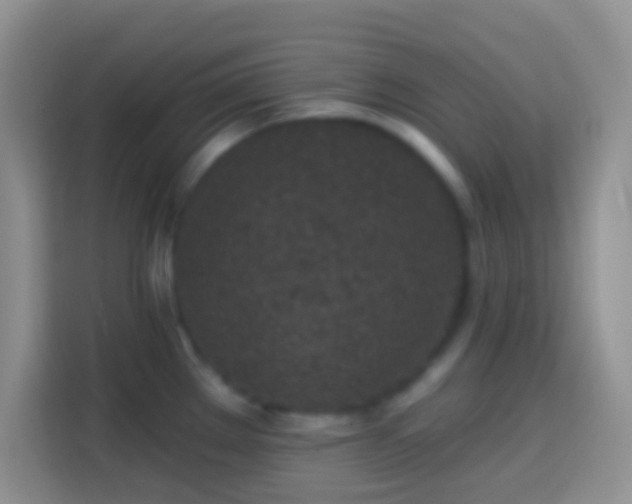 X0000113861289200910011014