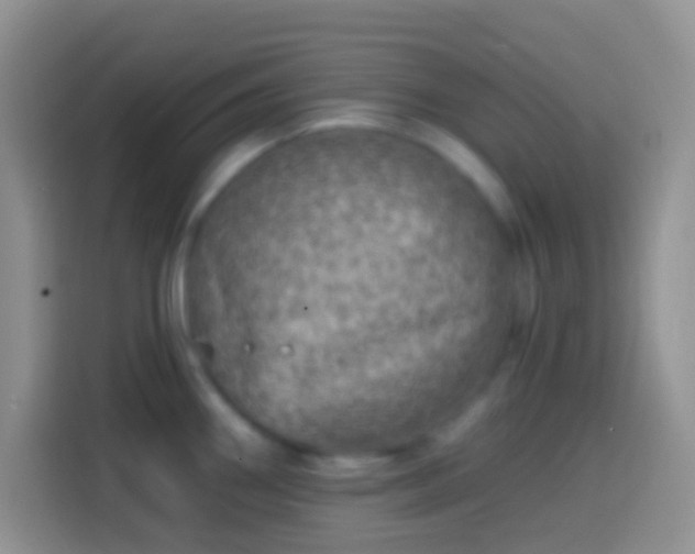 X0000113861290200910011014