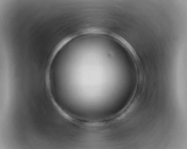 X0000113861293200910011014