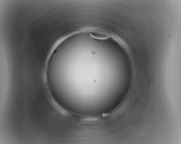 X0000113861296200910011014