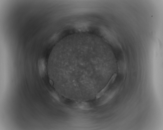 X0000113861298200910011013