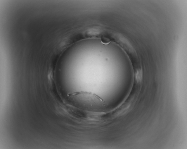 X0000113861299200910011013