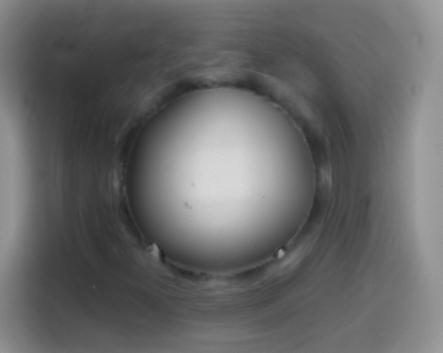 X0000113861300200910011013