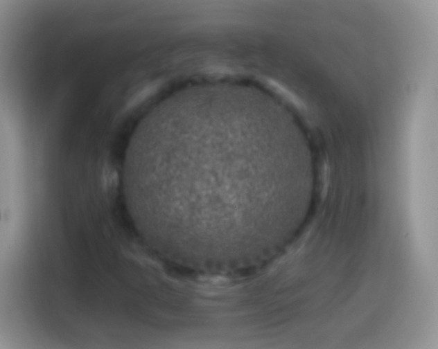 X0000113861302200910011013