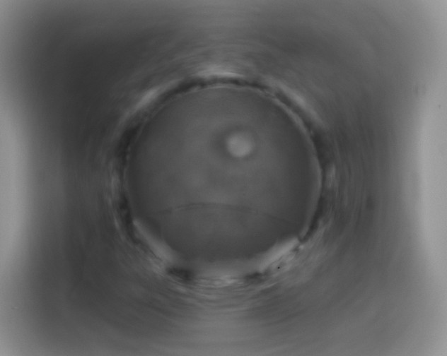 X0000113861303200910011013