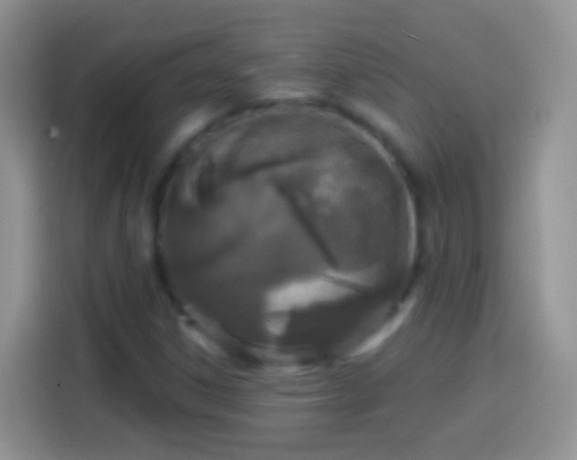 X0000113861306200910011013