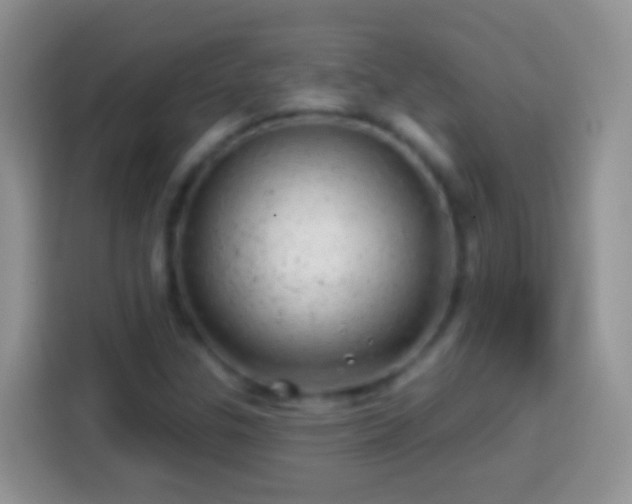 X0000113861307200910011013