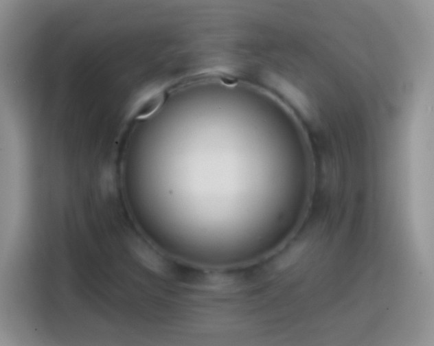 X0000113861308200910011013