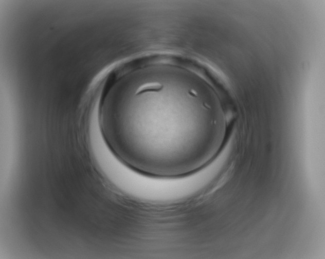 X0000113861310200910011013