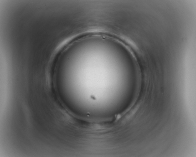 X0000113861311200910011013