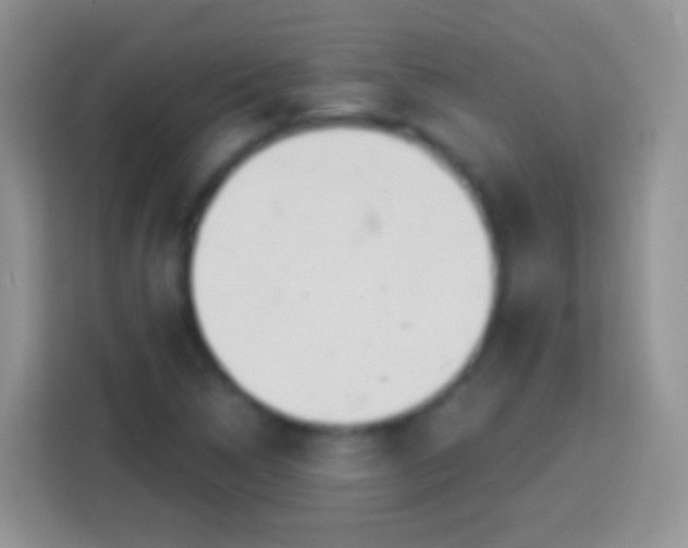 X0000113861314200910011013