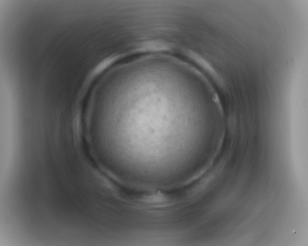 X0000113861315200910011013