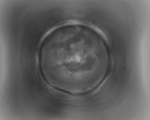 X0000113861318200910011013