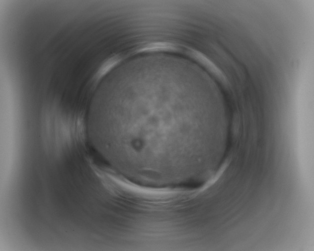 X0000113861321200910011013