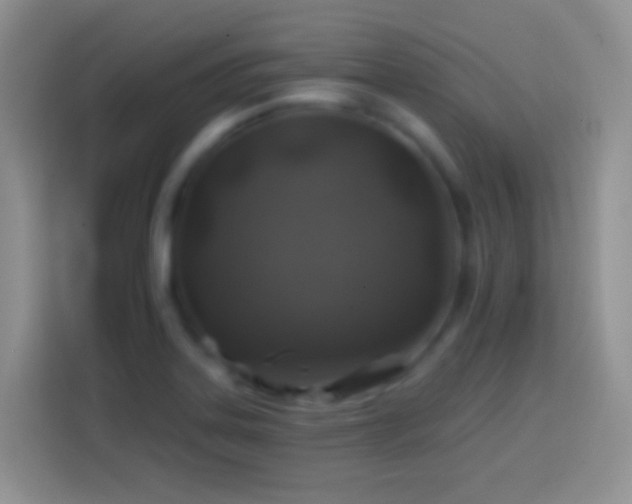 X0000113861323200910011013