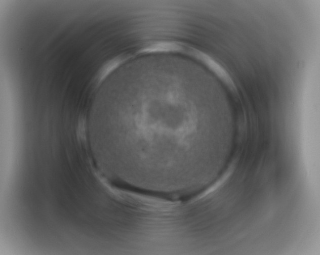 X0000113861329200910011013