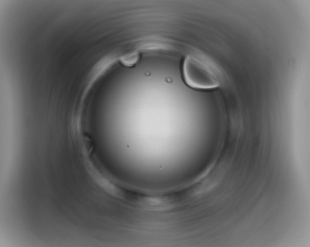 X0000113861330200910011013