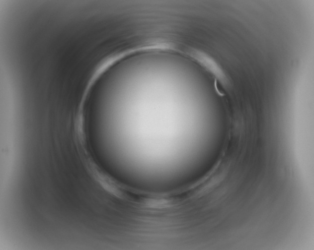 X0000113861332200910011013