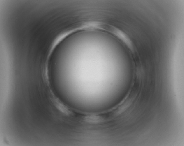 X0000113861336200910011014