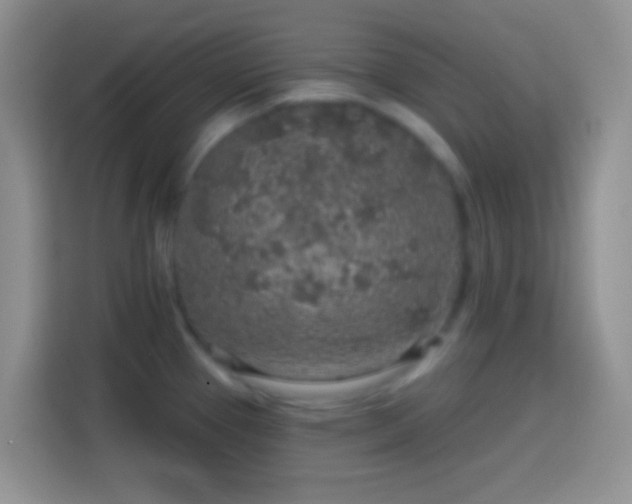 X0000113861337200910011014