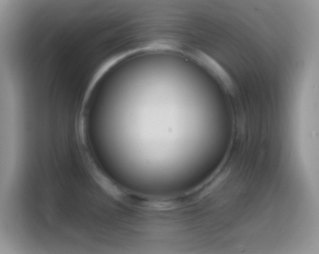 X0000113861340200910011014