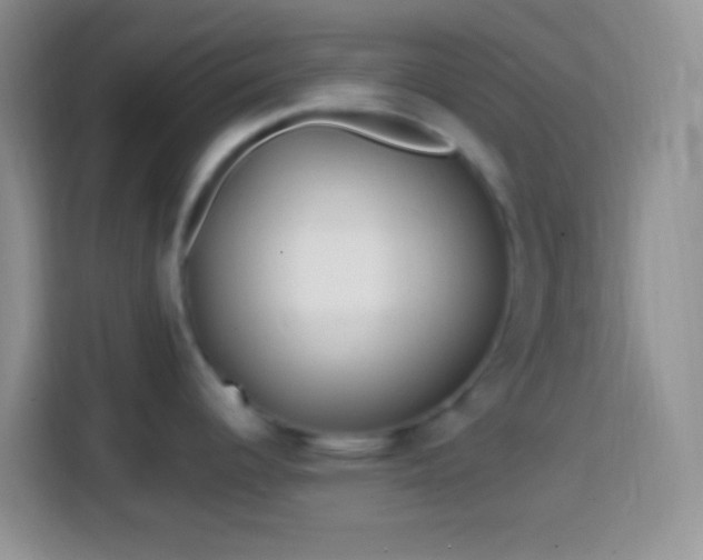 X0000113861344200910011014