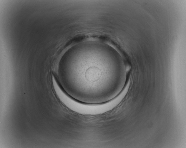 X0000113861345200910011013