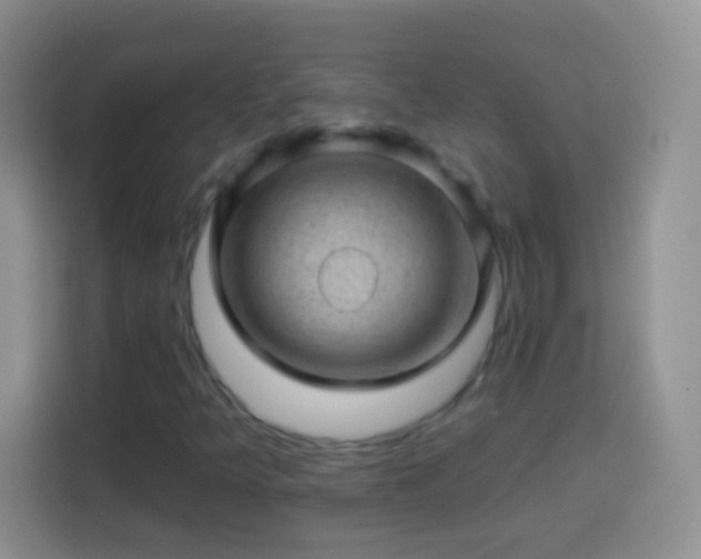 X0000113861349200910011013