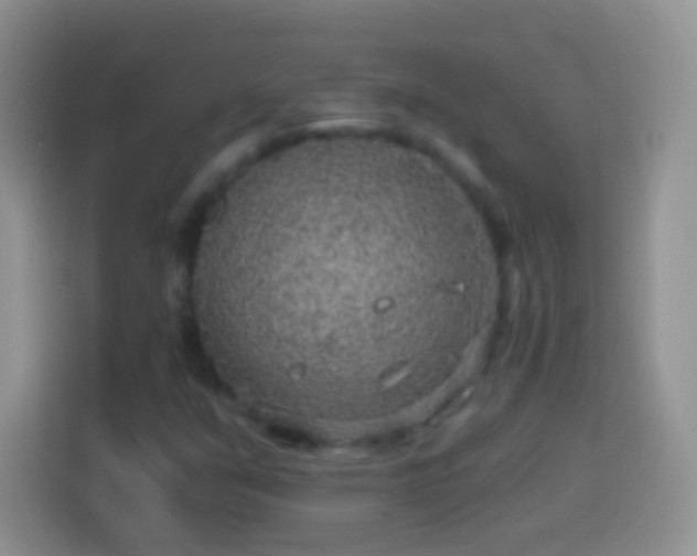 X0000113861351200910011013