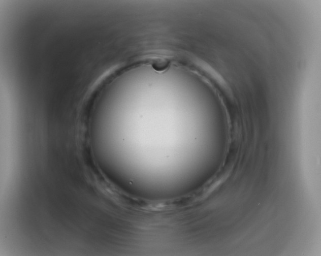 X0000113861352200910011013
