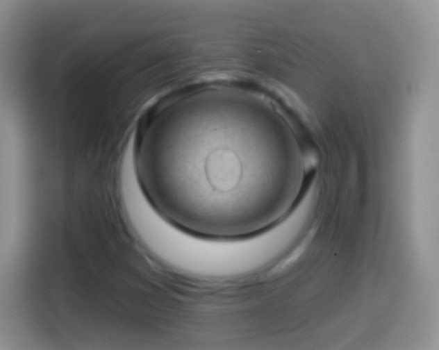 X0000113861353200910011013