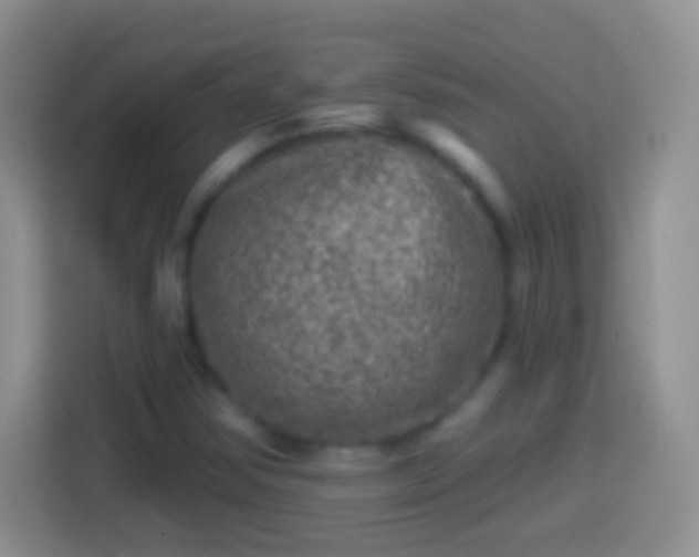 X0000113861354200910011013