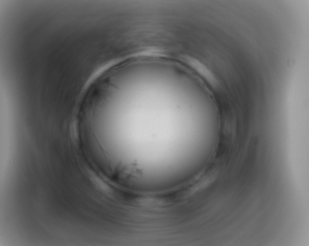 X0000113861356200910011013