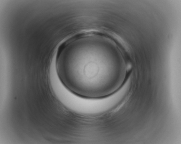 X0000113861361200910011013
