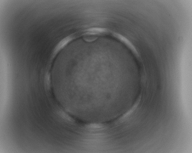 X0000113861362200910011013