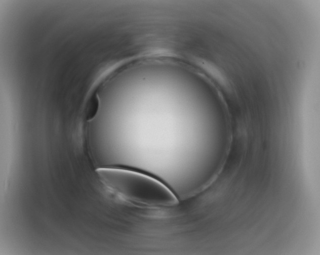 X0000113861364200910011013