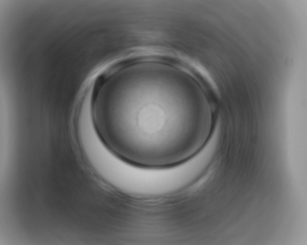 X0000113861365200910011013