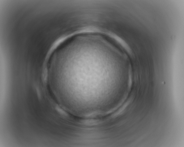 X0000113861366200910011013