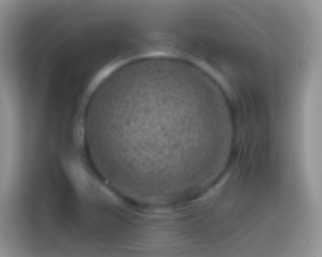 X0000113861367200910011013