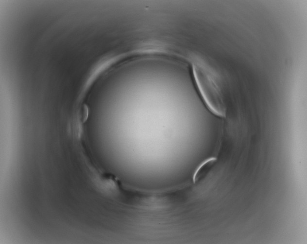 X0000113861368200910011013