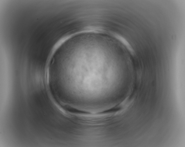 X0000113861371200910011013