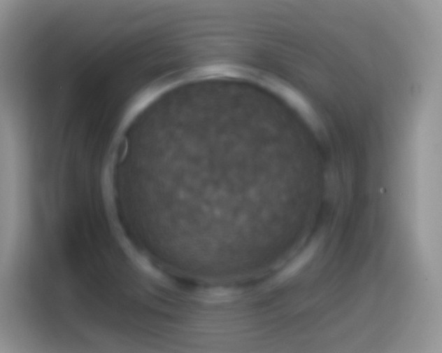 X0000113861373200910011012