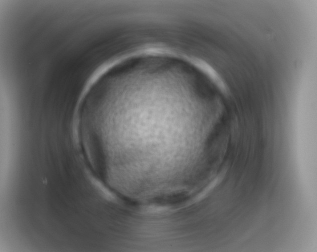 X0000113861374200910011012