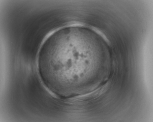 X0000113861375200910011012
