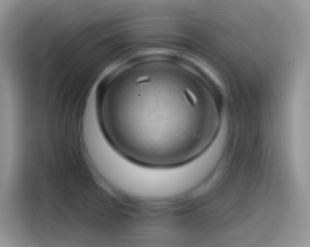 X0000113861377200910011012
